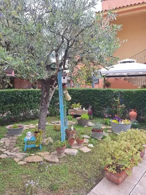 Giardino di B&B Casa Piras IUN3880