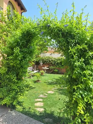 Giardino di B&B Casa Piras IUN3880