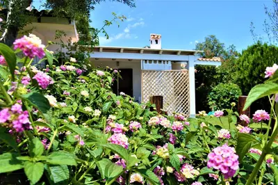Giardino di Nuova Valmar Trilo Mimosa