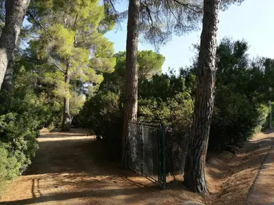 Paesaggio naturale nelle vicinanze della casa vacanze
