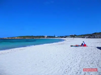Paesaggio naturale nelle vicinanze della casa vacanze