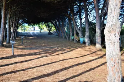 Planimetria di Pineta Spiaggia Grande 2