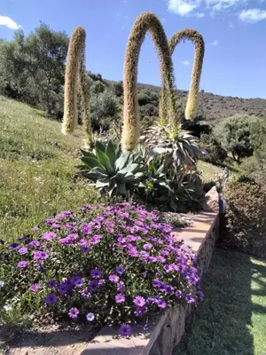 Giardino di La Rosa dei Venti