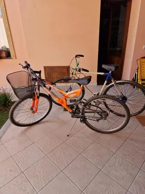 Attività di ciclismo presso la casa vacanze o nelle vicinanze