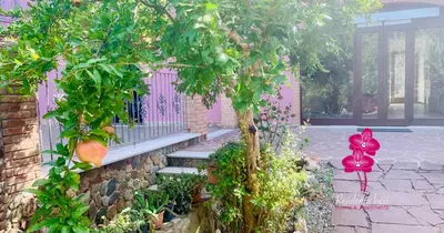 Giardino di Residenza Locci - Rooms & Apartments