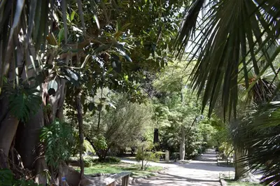 Giardino di Green Apartment-City Centre