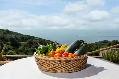 Paesaggio naturale nelle vicinanze dell'aparthotel