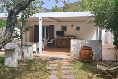 Giardino di Jungle House - Pineta Is Morus