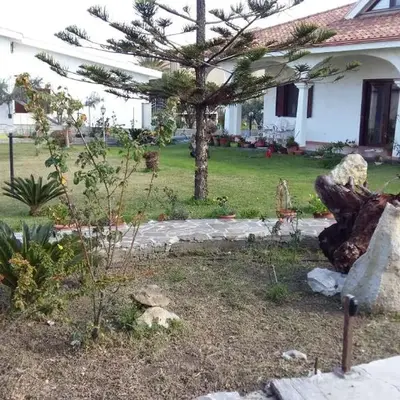 Il Gabbiano