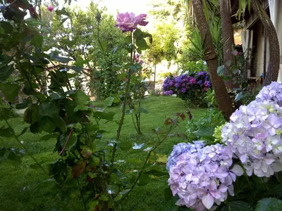 Giardino di La Quercia