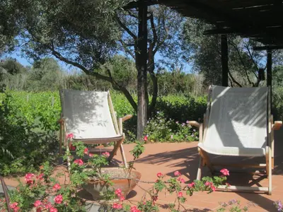 Giardino di B&B Sa Ingia