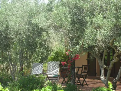 Giardino di B&B Sa Ingia