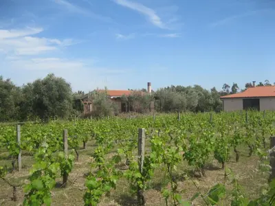 Giardino di B&B Sa Ingia