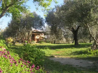 Giardino di B&B Sa Ingia