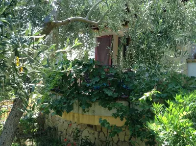 Giardino di Graziosissima villa