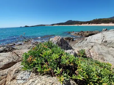 Paesaggio naturale nelle vicinanze dell'appartamento