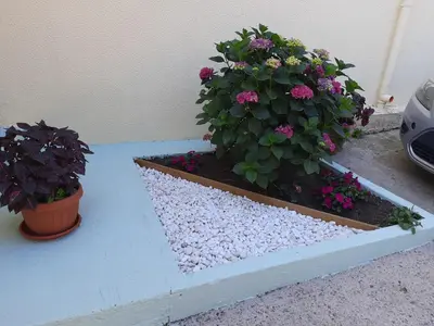 Giardino di Casa Vacanze Arba Girasole