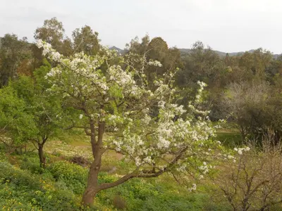 Paesaggio naturale nelle vicinanze dell'agriturismo