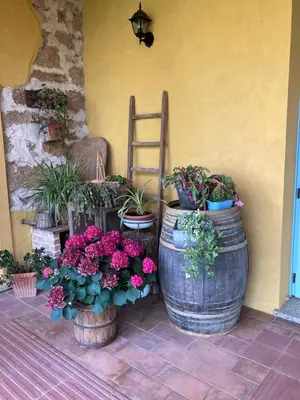 Giardino di Agriturismo Is Conchisceddas