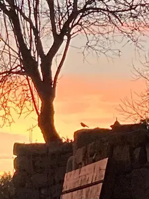 Alba o tramonto visti dall'interno dell'agriturismo o dai dintorni