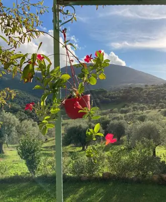 Vista generica sulle montagne o vista sulle montagne dall'interno dell'agriturismo