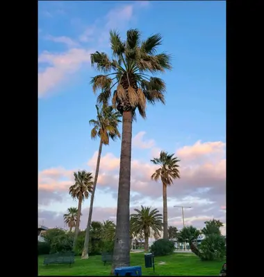 Giardino di La Breeze