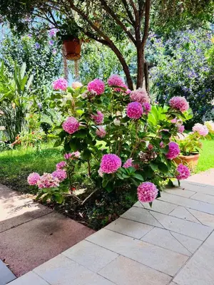 Giardino di bbmaredellestelle