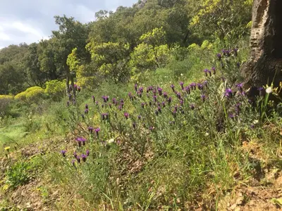 Paesaggio naturale nelle vicinanze dell'appartamento