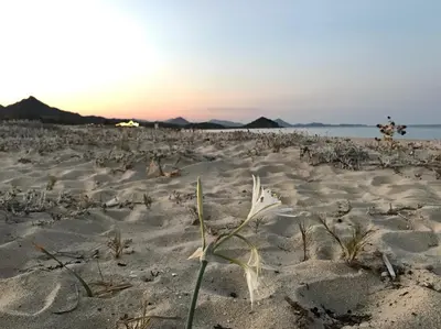 Paesaggio naturale nelle vicinanze dell'appartamento