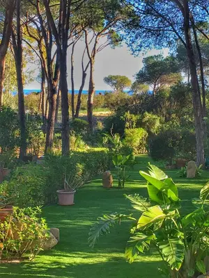 Giardino di Stella 24