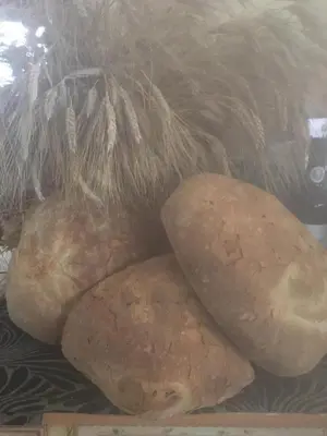 Planimetria di Hotel Monreale
