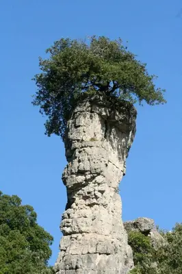 Planimetria di Vacanza in Ogliastra