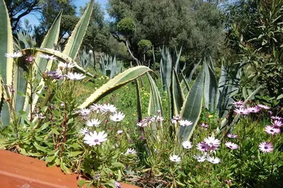 Giardino di Villa delle torri