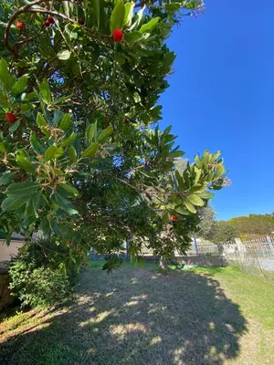 Paesaggio naturale nelle vicinanze della casa vacanze