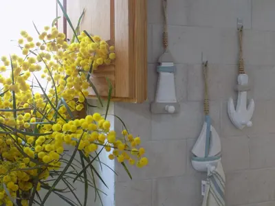 Planimetria di Casa Giglio
