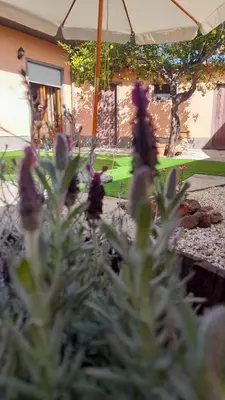 Giardino di Su Fassoi Cabras