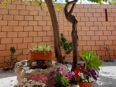 Giardino di Su Fassoi Cabras