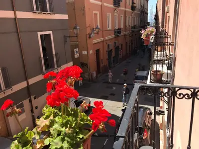 Il quartiere o una zona nella vicinanze dell'appartamento