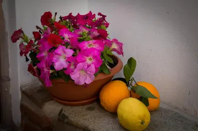 Planimetria di B&B Martina