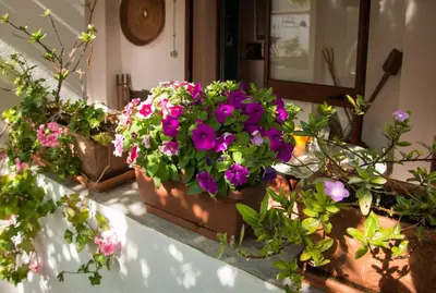 Giardino di B&B Martina