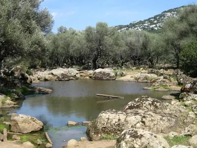Paesaggio naturale nelle vicinanze dell'appartamento