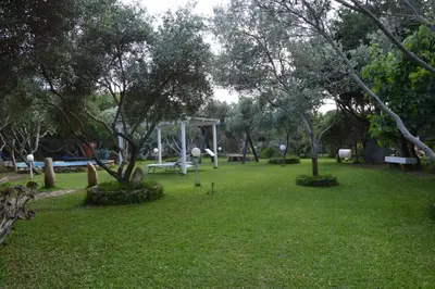 Giardino di Giardino degli Ulivi