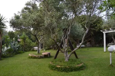 Giardino di Giardino degli Ulivi
