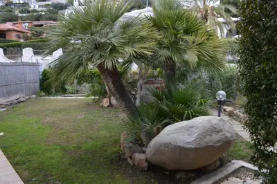 Giardino di Nuova Valmar Villa Carta 100 mt mare