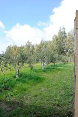Giardino di Tra Mare e Monti