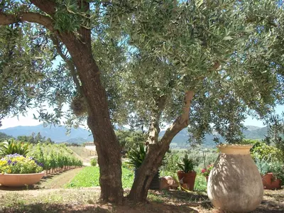 Paesaggio naturale nelle vicinanze dell'appartamento