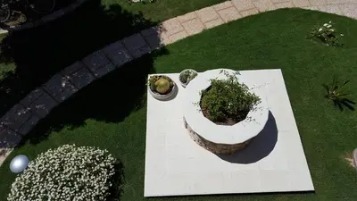 Giardino di Sole D'oro IUN S4354