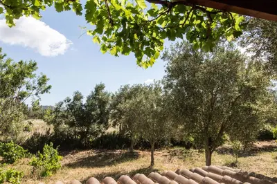 Paesaggio naturale nelle vicinanze dell'appartamento