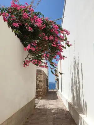 Planimetria di Casa Au scheggiu de Sabetta
