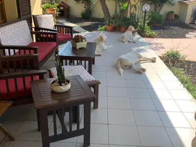 Ospiti di I Gerani con animali domestici